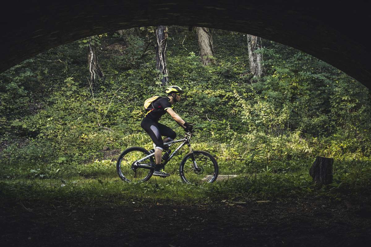 © Lyon Free Bike / We Are Media Makers