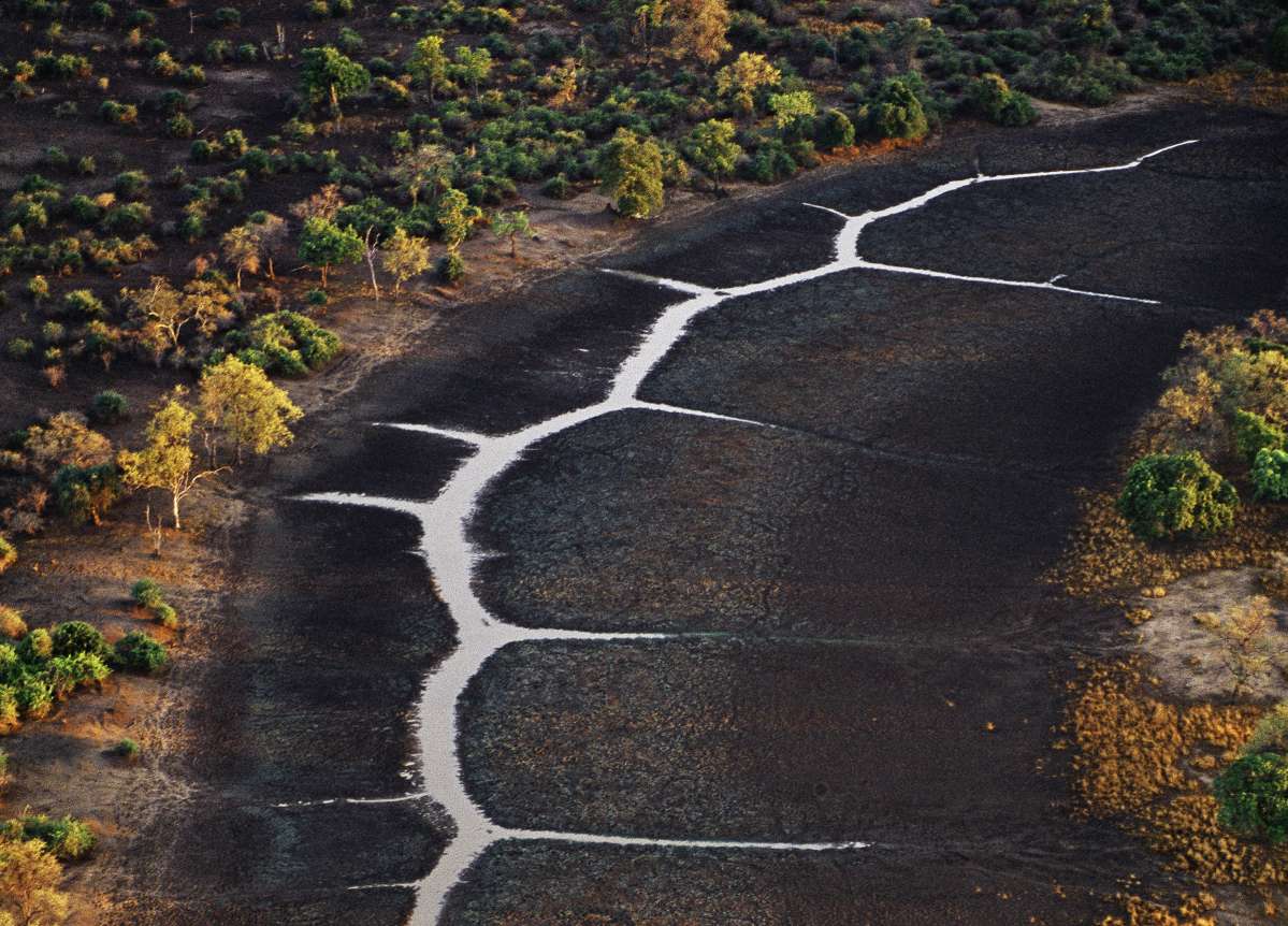 Assèchement d’un affluent de la Luangwa pendant la saison sèche Photographie de Frans Lanting Zambie, vallée de la Luangwa © Frans Lanting