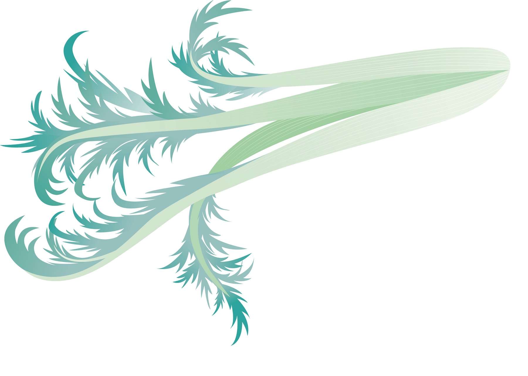 Cardon © Camille Gabert