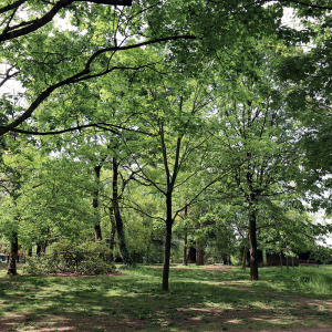Le parc Chambovet © Eric Bascol